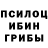 Псилоцибиновые грибы прущие грибы Anubis Tym