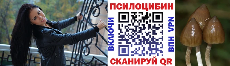Галлюциногенные грибы прущие грибы Семёнов
