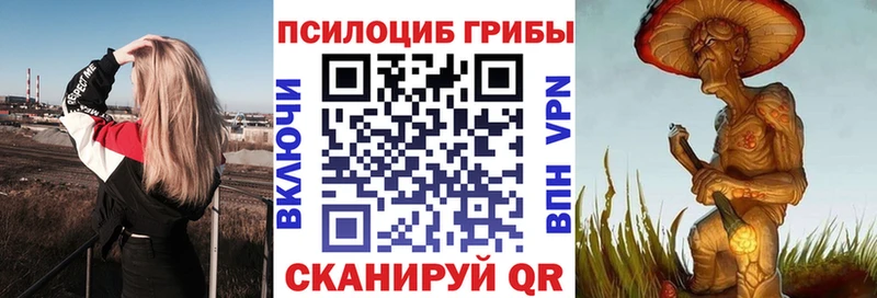 дарнет шоп  Семёнов  Псилоцибиновые грибы мицелий 